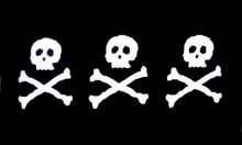 Load image into Gallery viewer, Pirate Captains&#39; Flag
